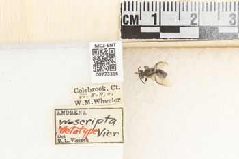 Media type: image;   Entomology 773316 Aspect: Labels
